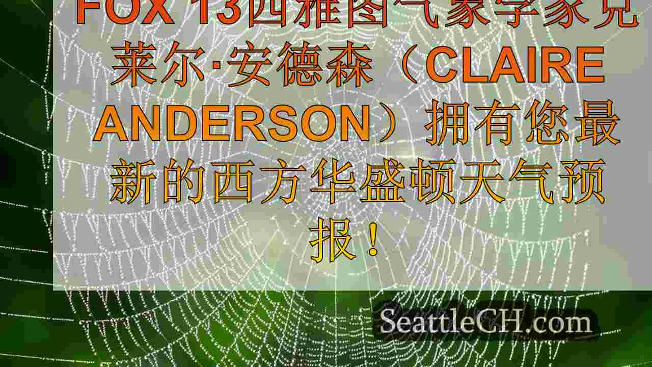 西雅图新闻 SeattleCH