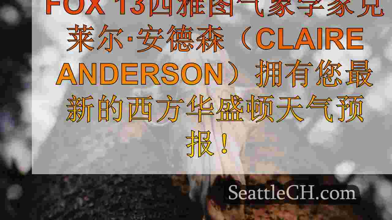 西雅图新闻 SeattleCH