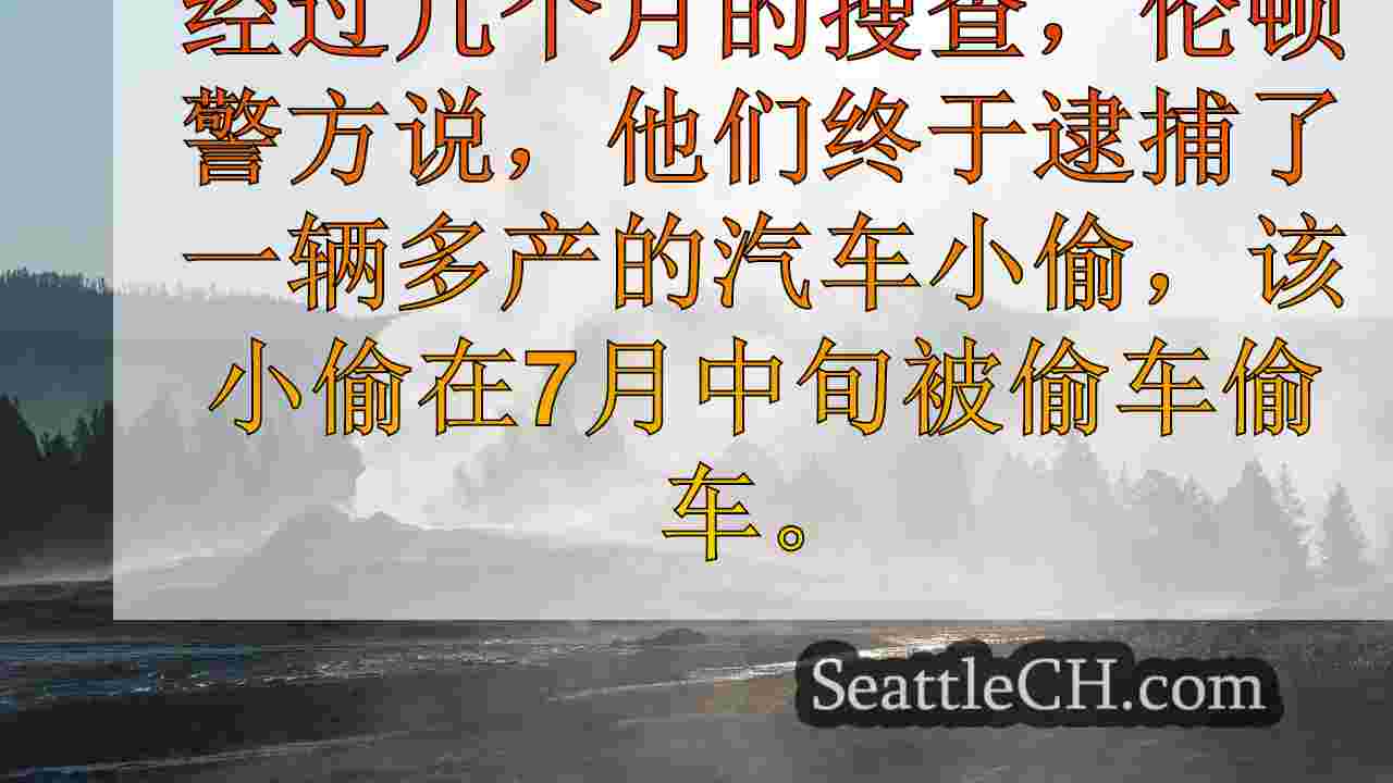 西雅图新闻 SeattleCH