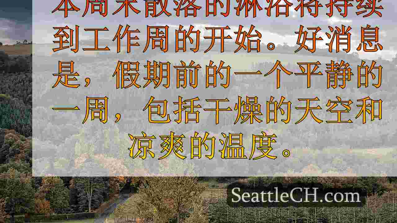 西雅图新闻 SeattleCH