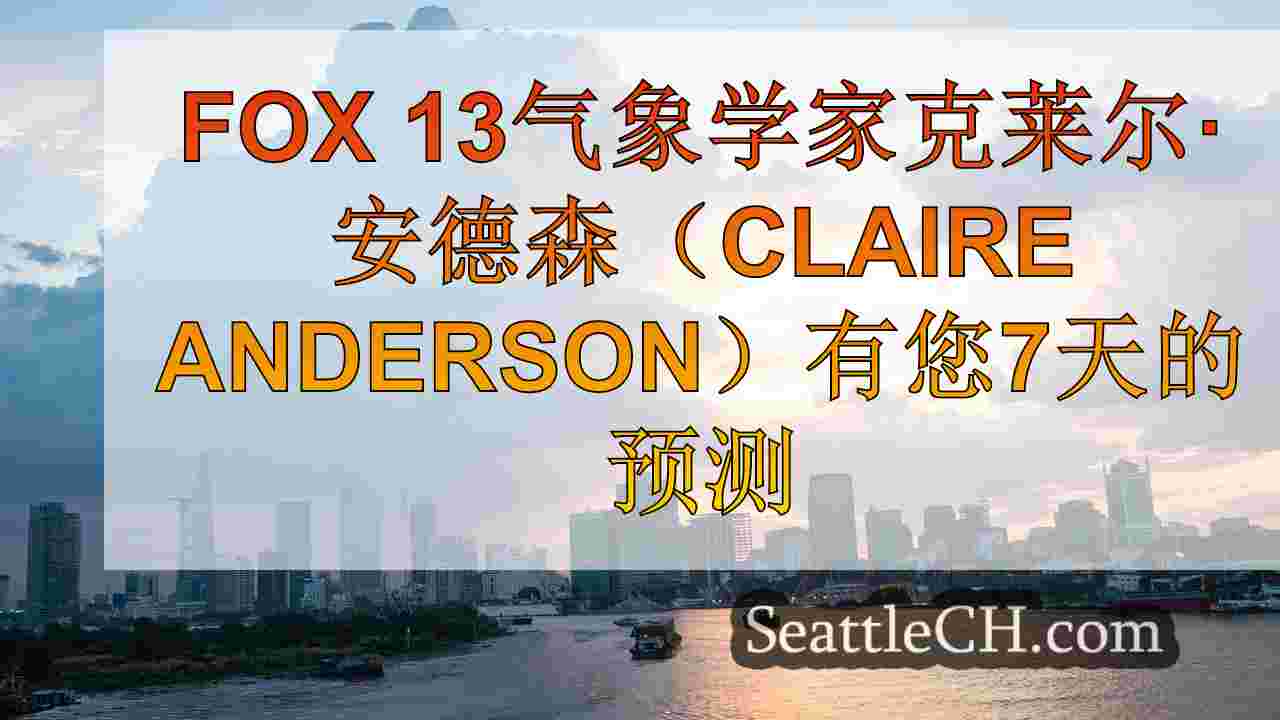 西雅图新闻 SeattleCH