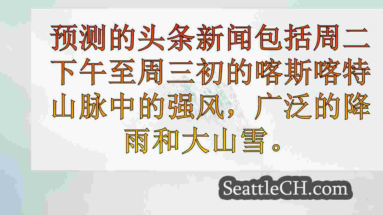 西雅图新闻 SeattleCH