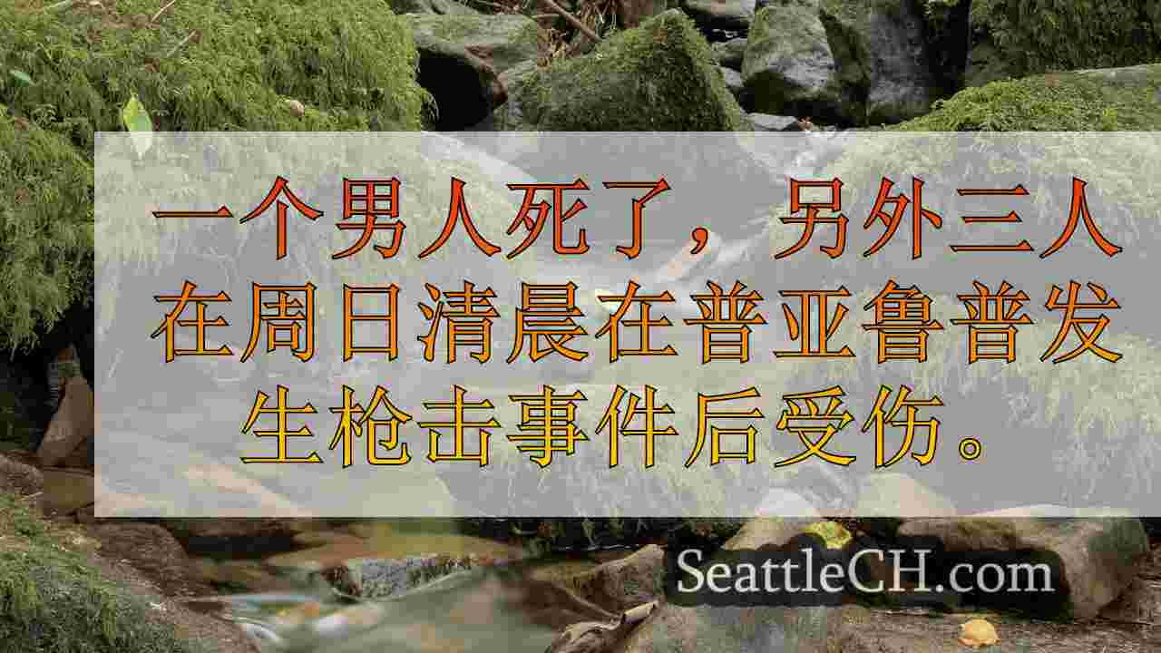 西雅图新闻 SeattleCH
