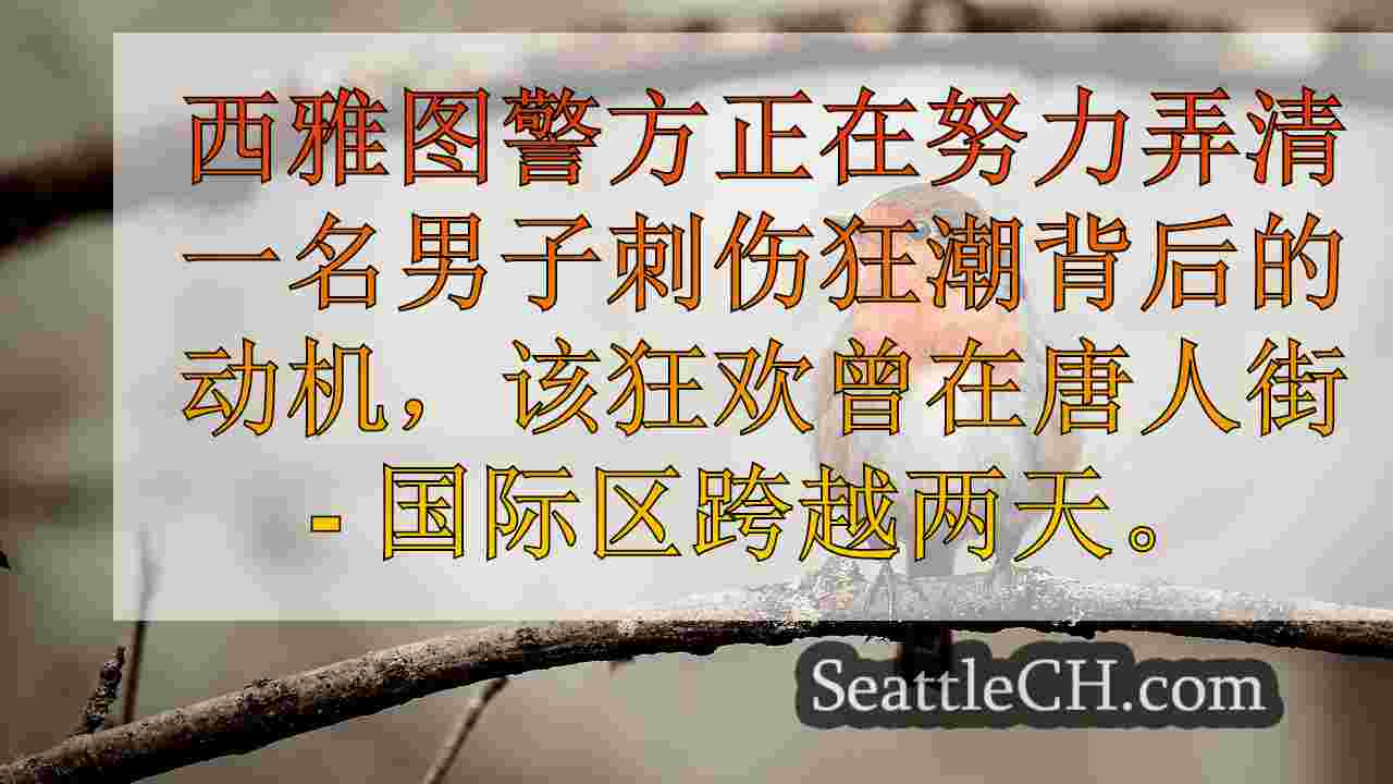 西雅图新闻 SeattleCH