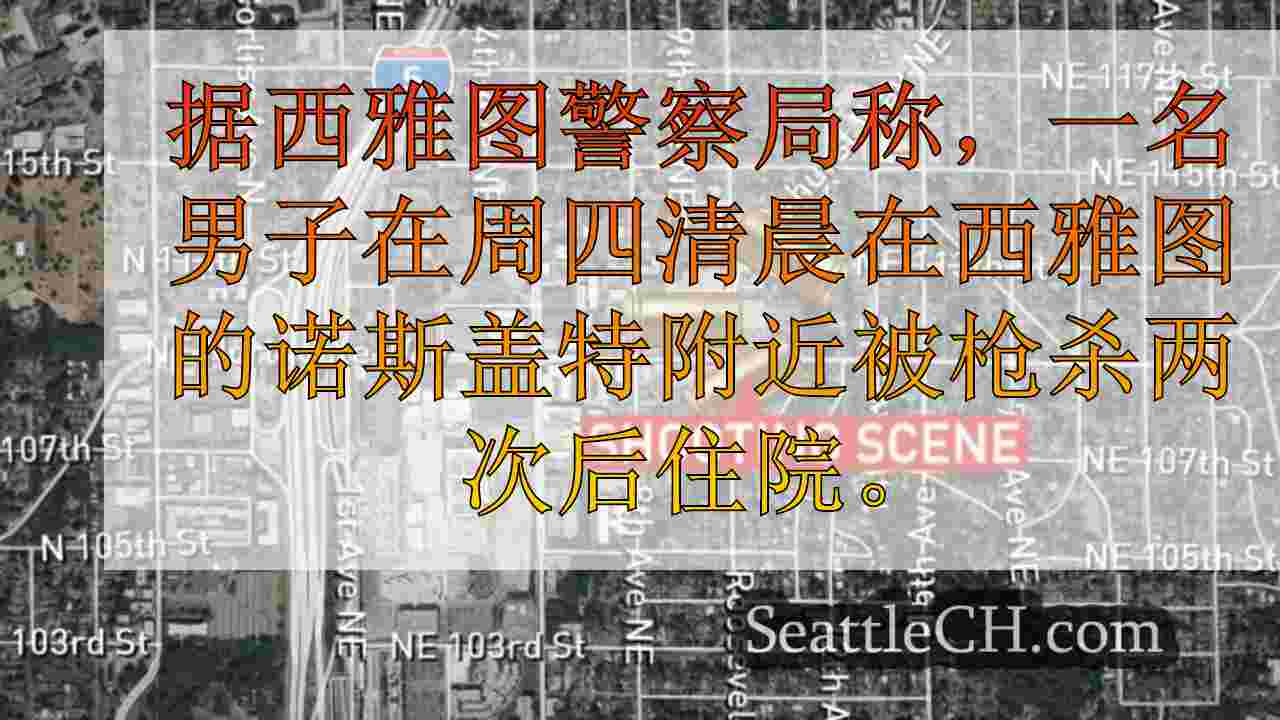 男子在西雅图Northgate地区的爆炸芬太尼毒品交易中两次开枪