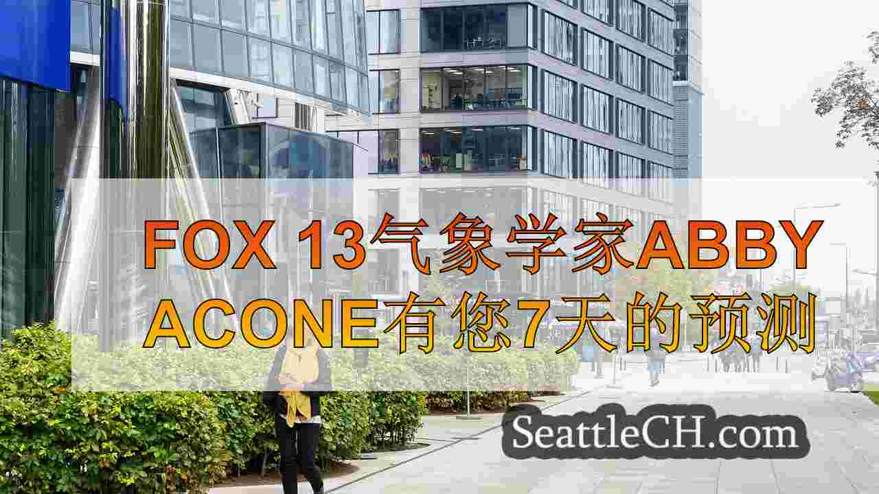 西雅图新闻 SeattleCH