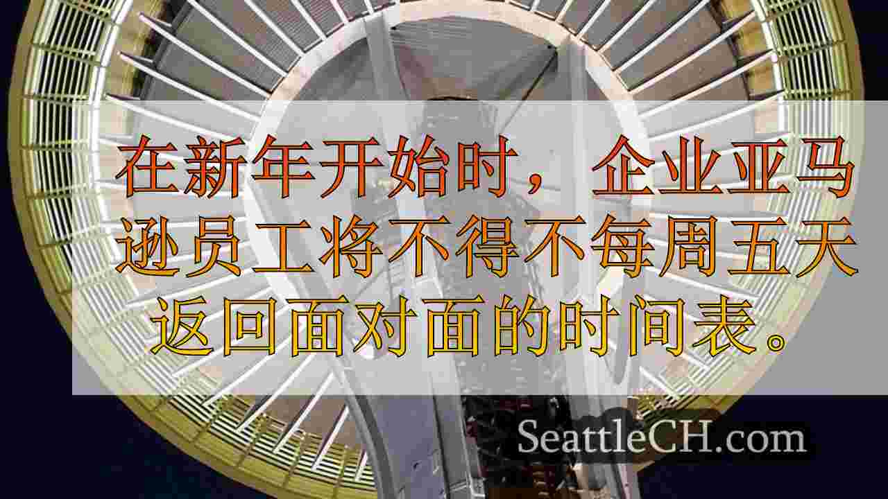 亚马逊向美国客户推出“拖运”，交易低于20美元，其中许多不到10美元