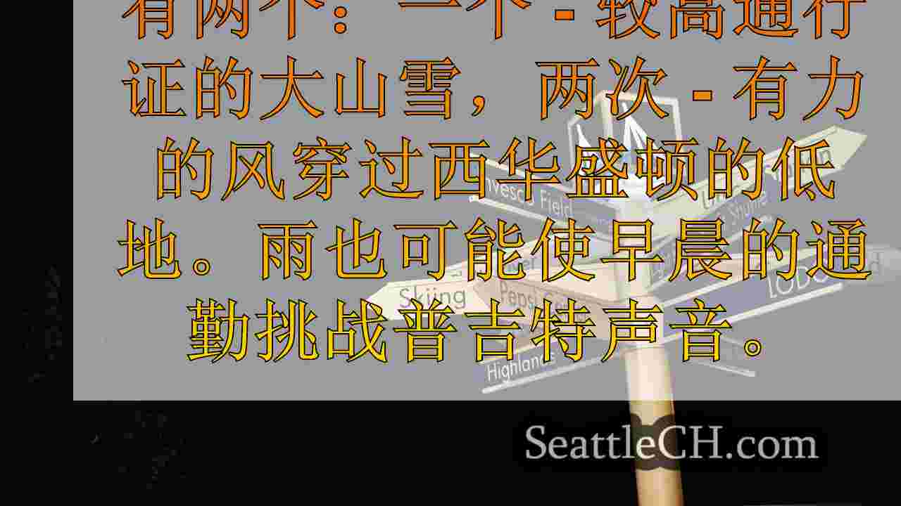 西雅图新闻 SeattleCH