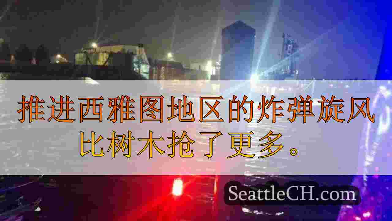 西雅图新闻 SeattleCH