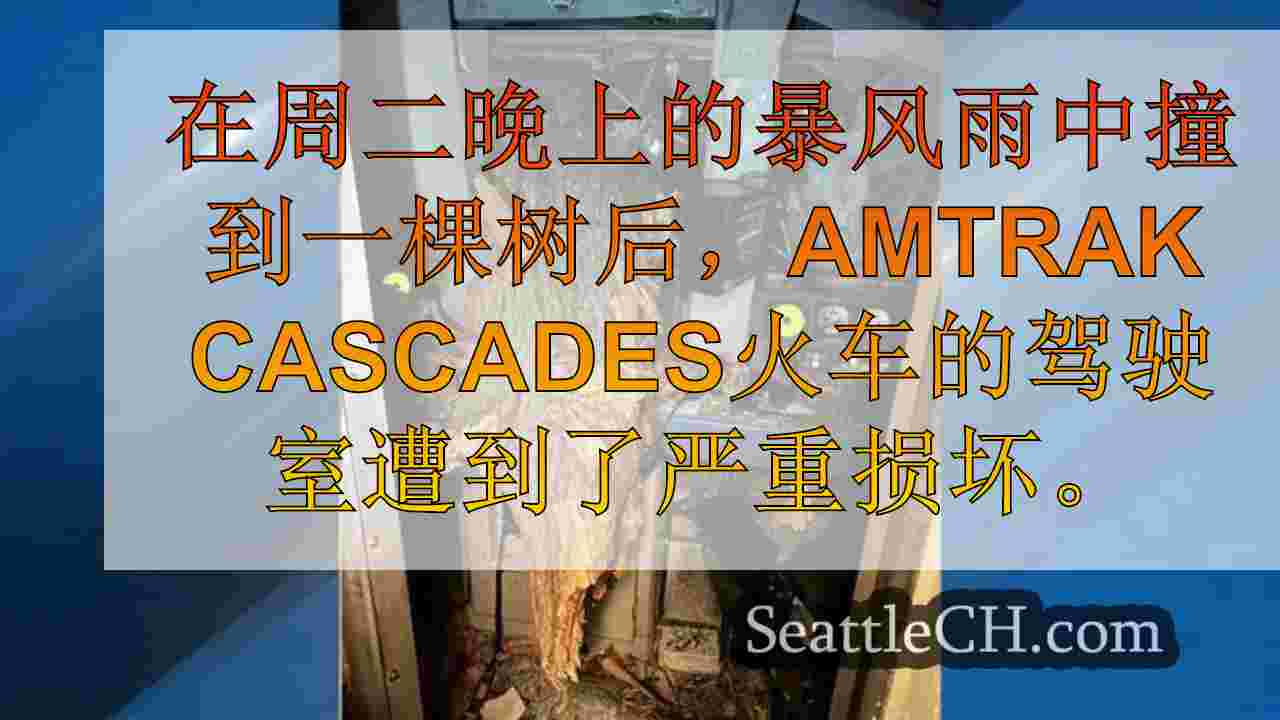 西雅图新闻 SeattleCH