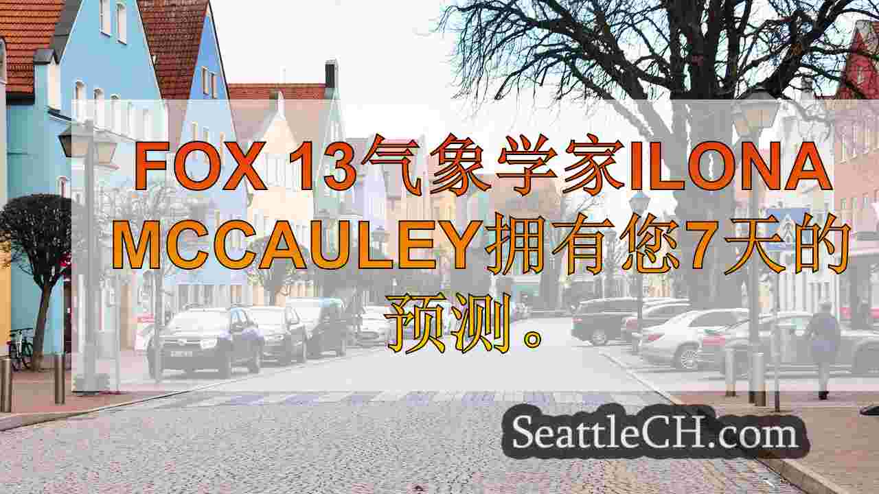西雅图新闻 SeattleCH