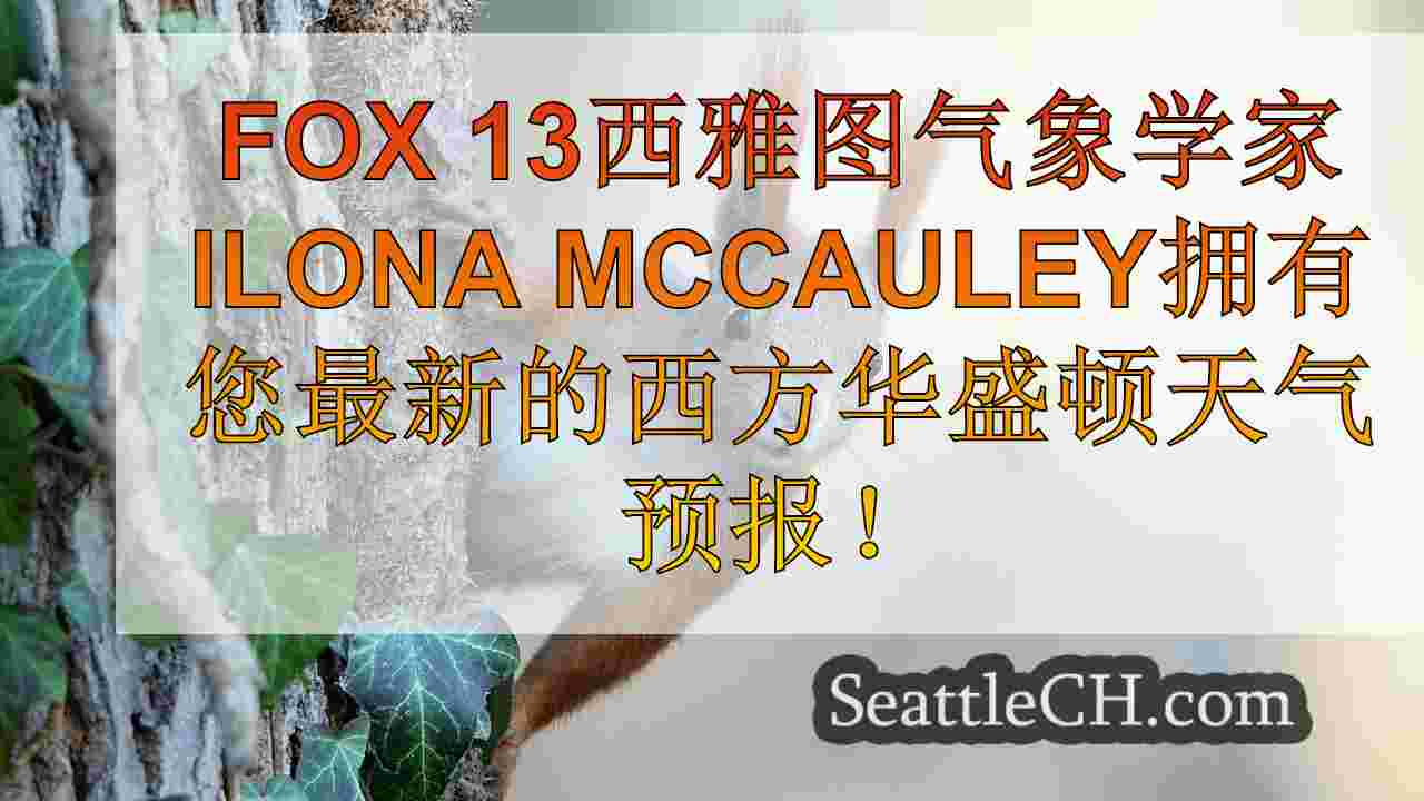 西雅图新闻 SeattleCH
