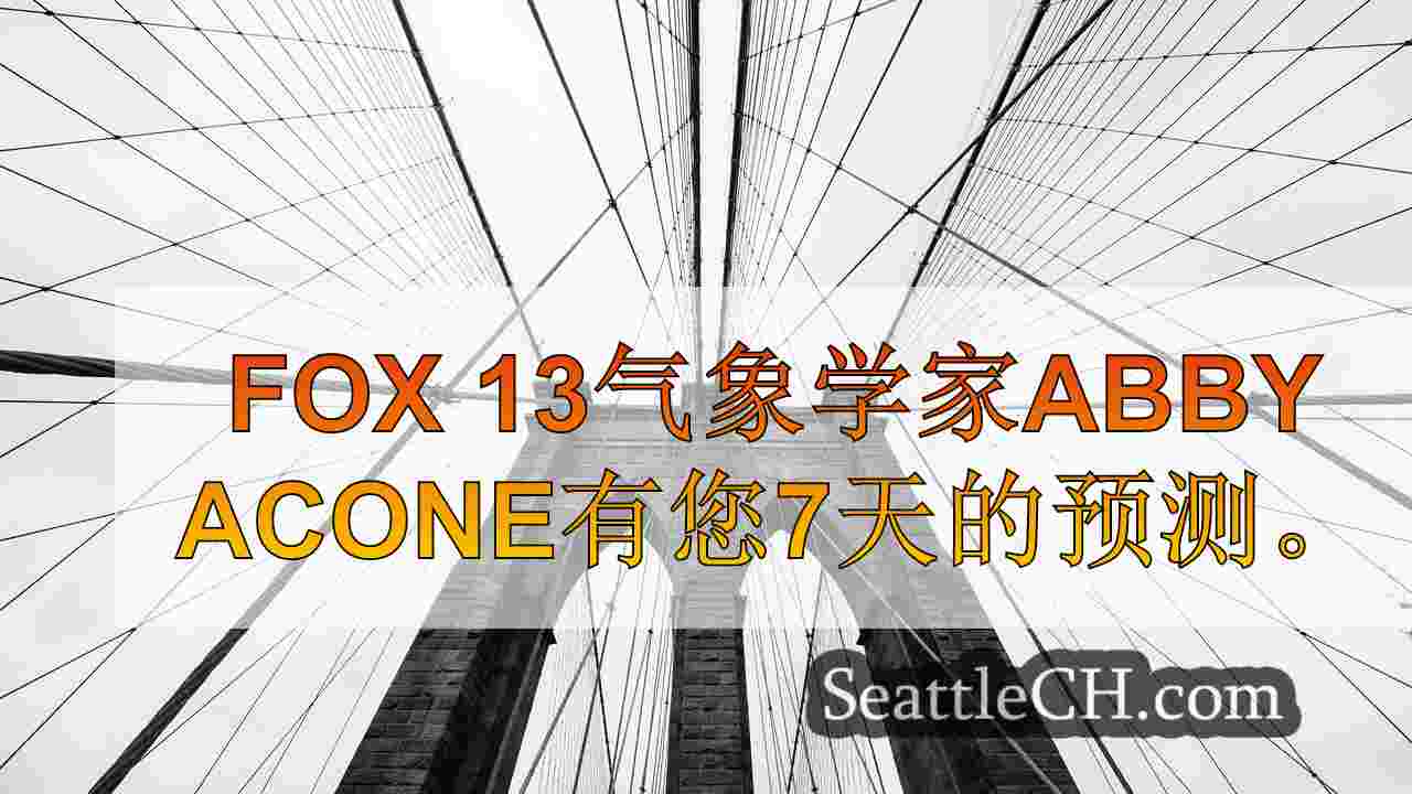 西雅图新闻 SeattleCH