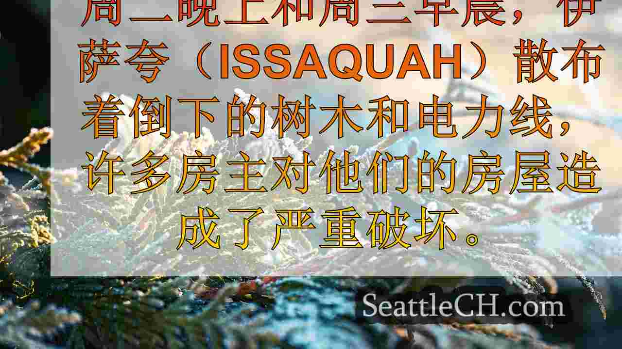 西雅图新闻 SeattleCH