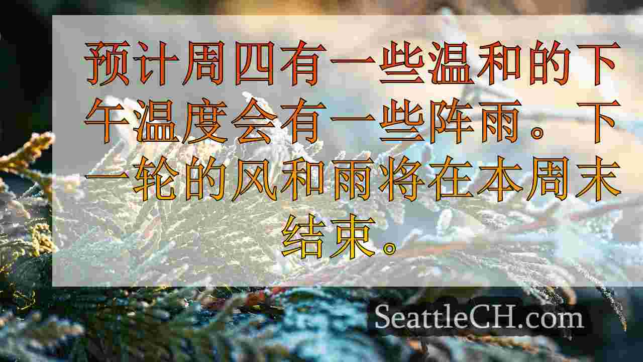 西雅图新闻 SeattleCH