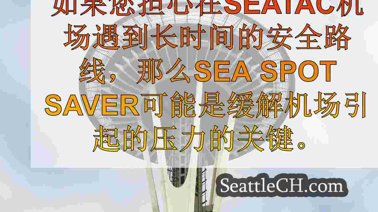 海上航空机场假日旅行提示，导航安全，停车，人群