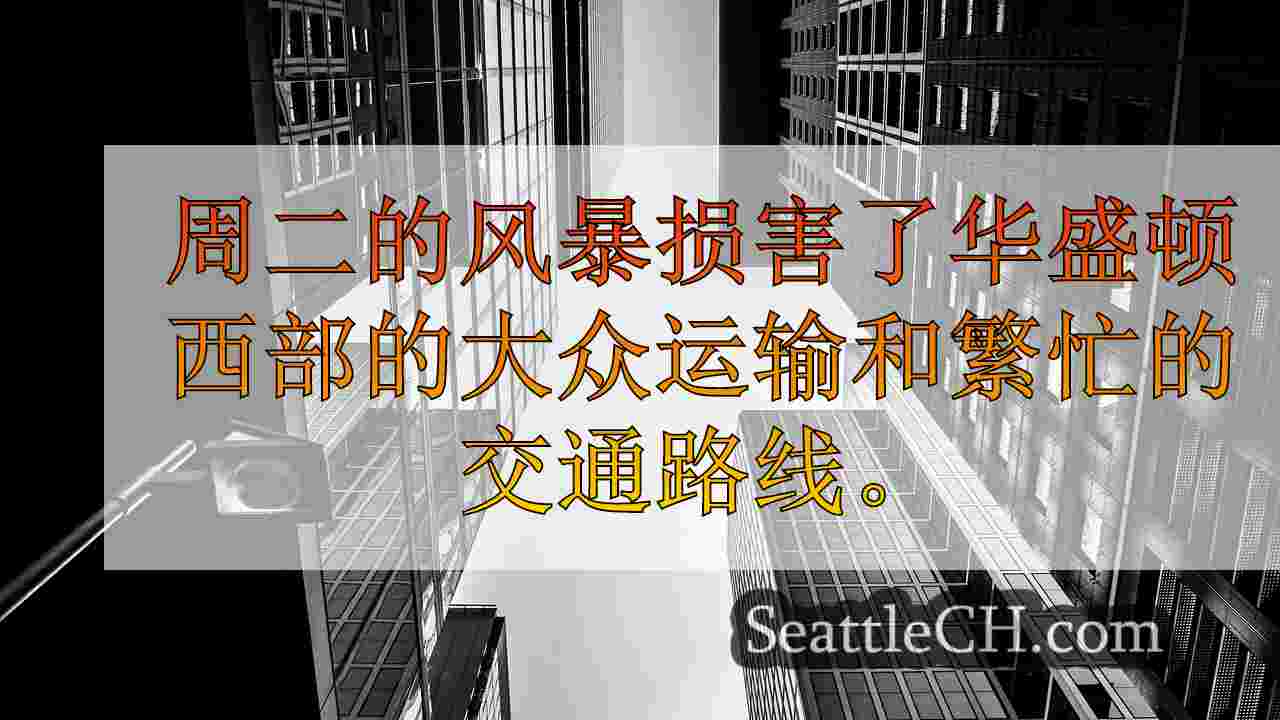 西雅图新闻 SeattleCH