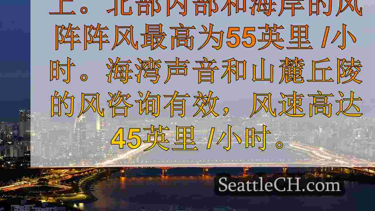 西雅图新闻 SeattleCH