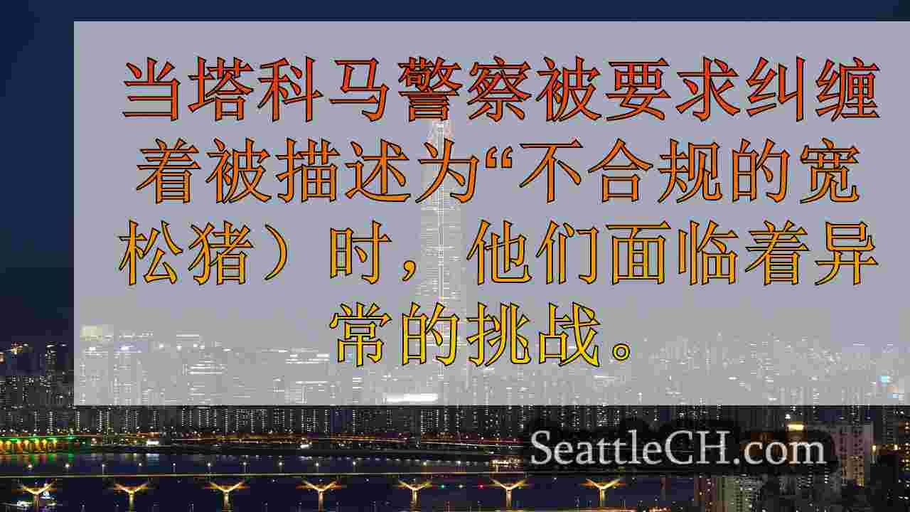 西雅图新闻 SeattleCH