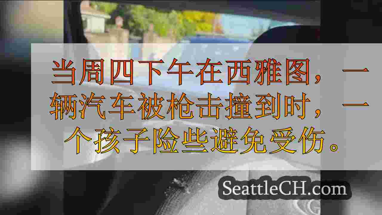 在汽车座椅上的孩子几乎在西雅图被枪声击中