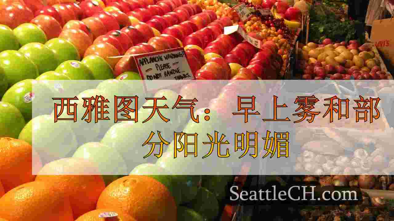 西雅图天气：这个周末寒冷的夜晚