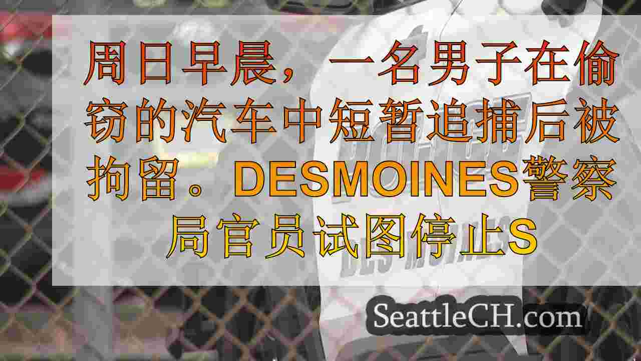得梅因（Des Moines）的偷车追逐导致坠机事故，K9协助逮捕