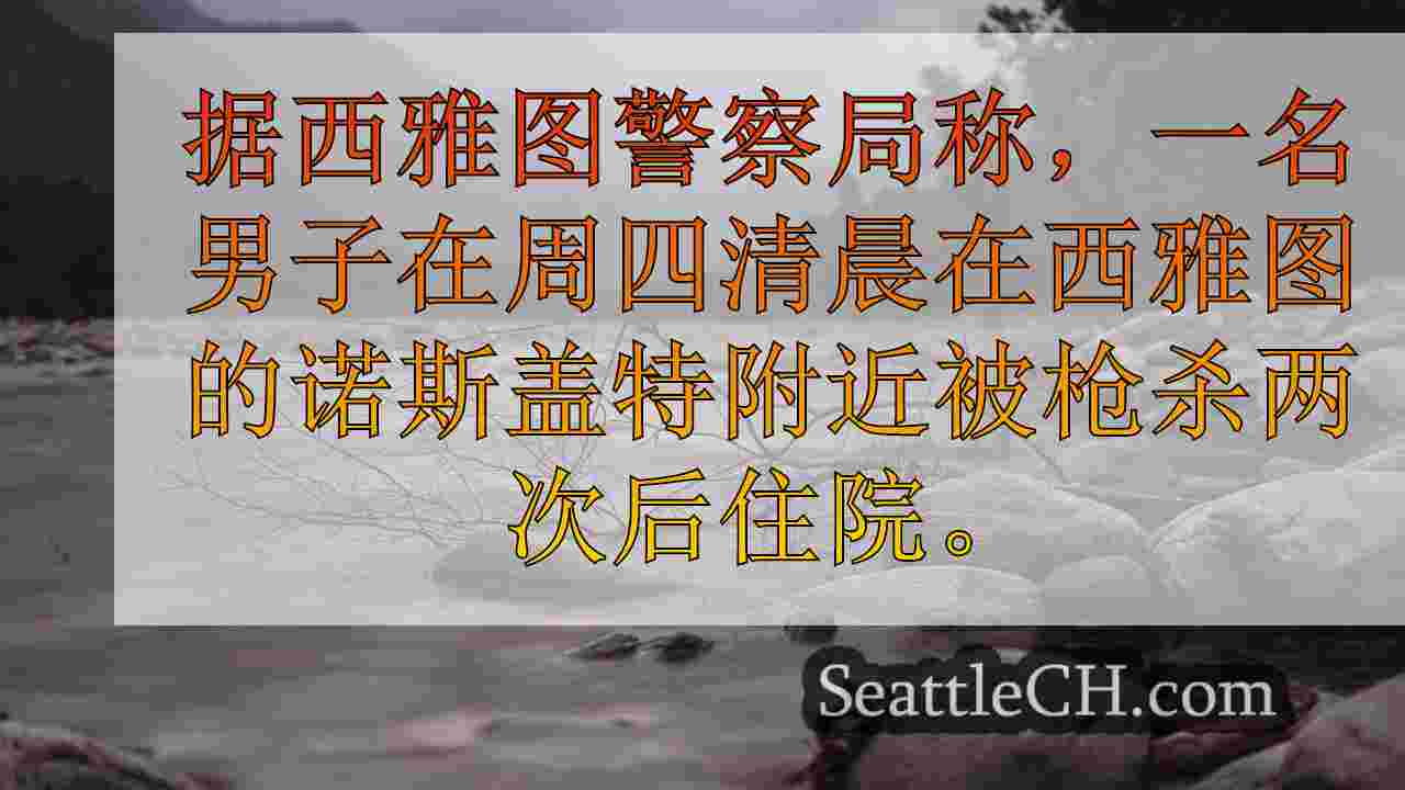 西雅图新闻 SeattleCH