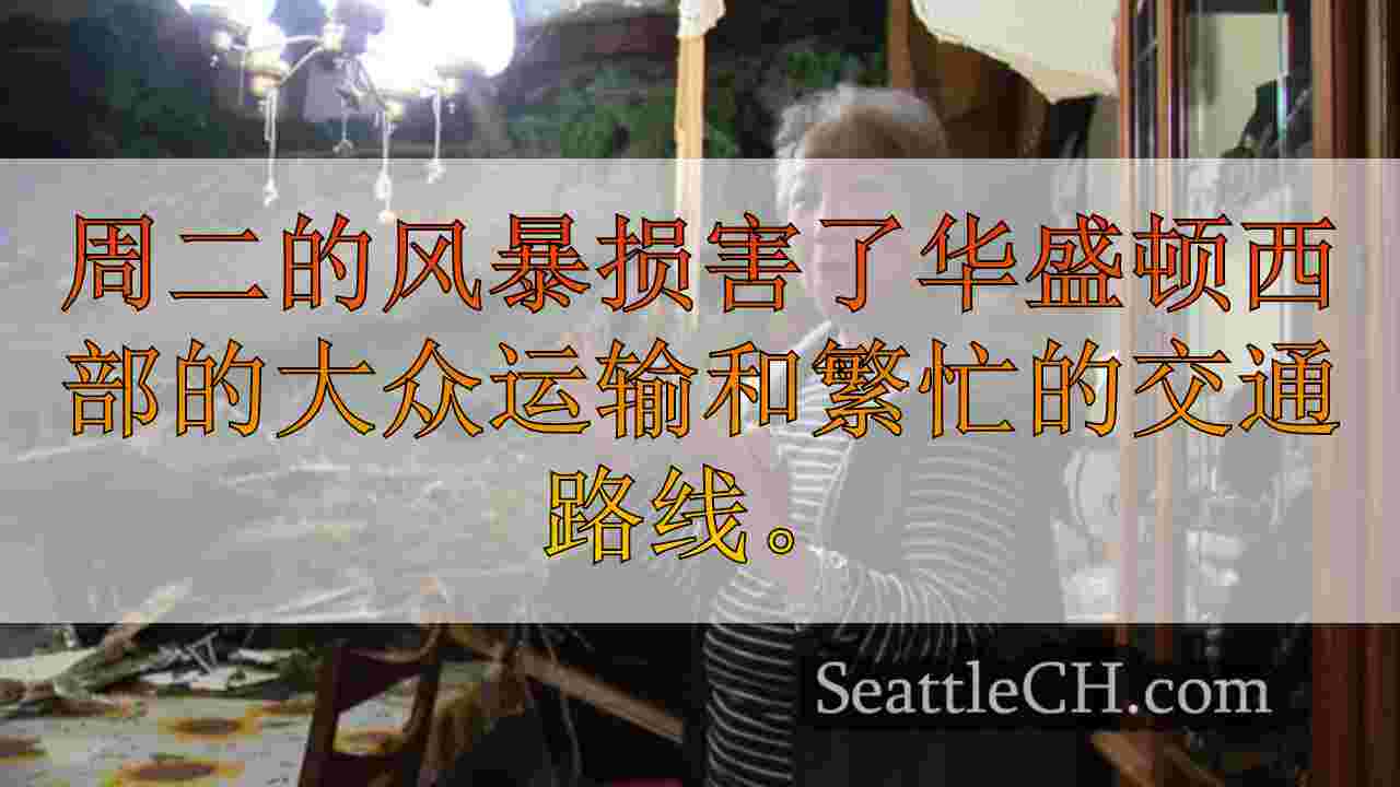 Bellevue妇女因倒下的树伤受伤，屋顶倒塌在近距离通话时说话