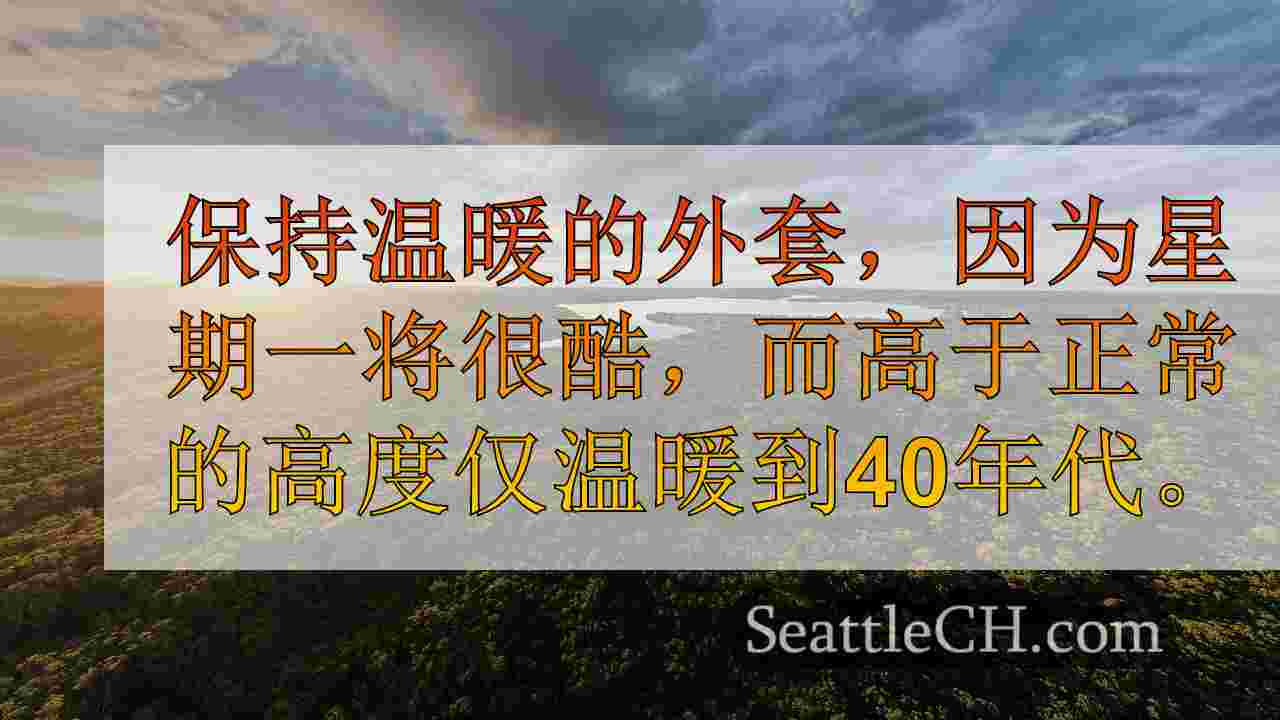 西雅图新闻 SeattleCH