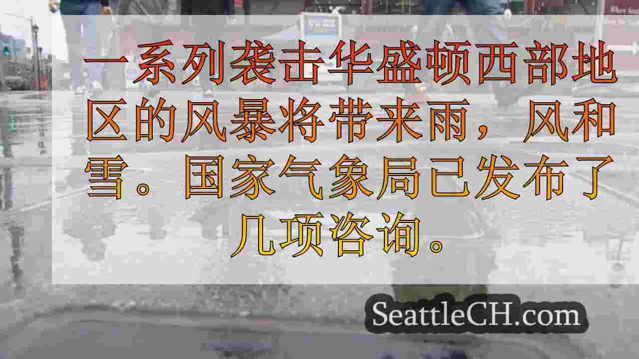 西雅图新闻 SeattleCH
