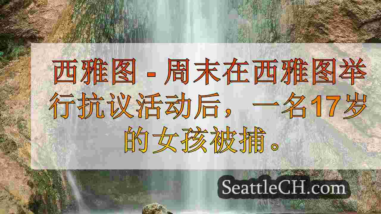 17岁的女孩因抗议有关的西雅图财产损失而被捕
