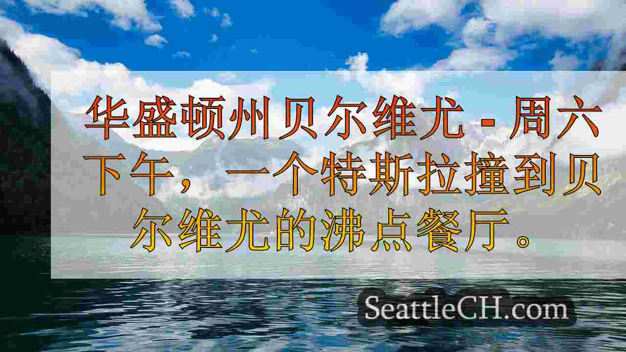 特斯拉震惊的食客开车去华盛顿州贝尔维尤