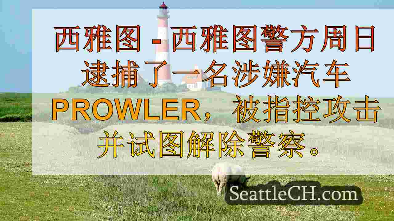 西雅图新闻 SeattleCH