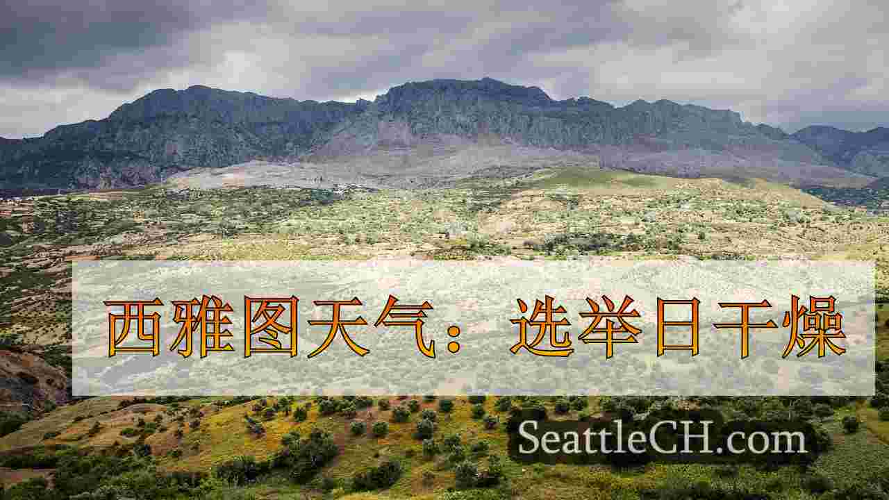 西雅图新闻 SeattleCH