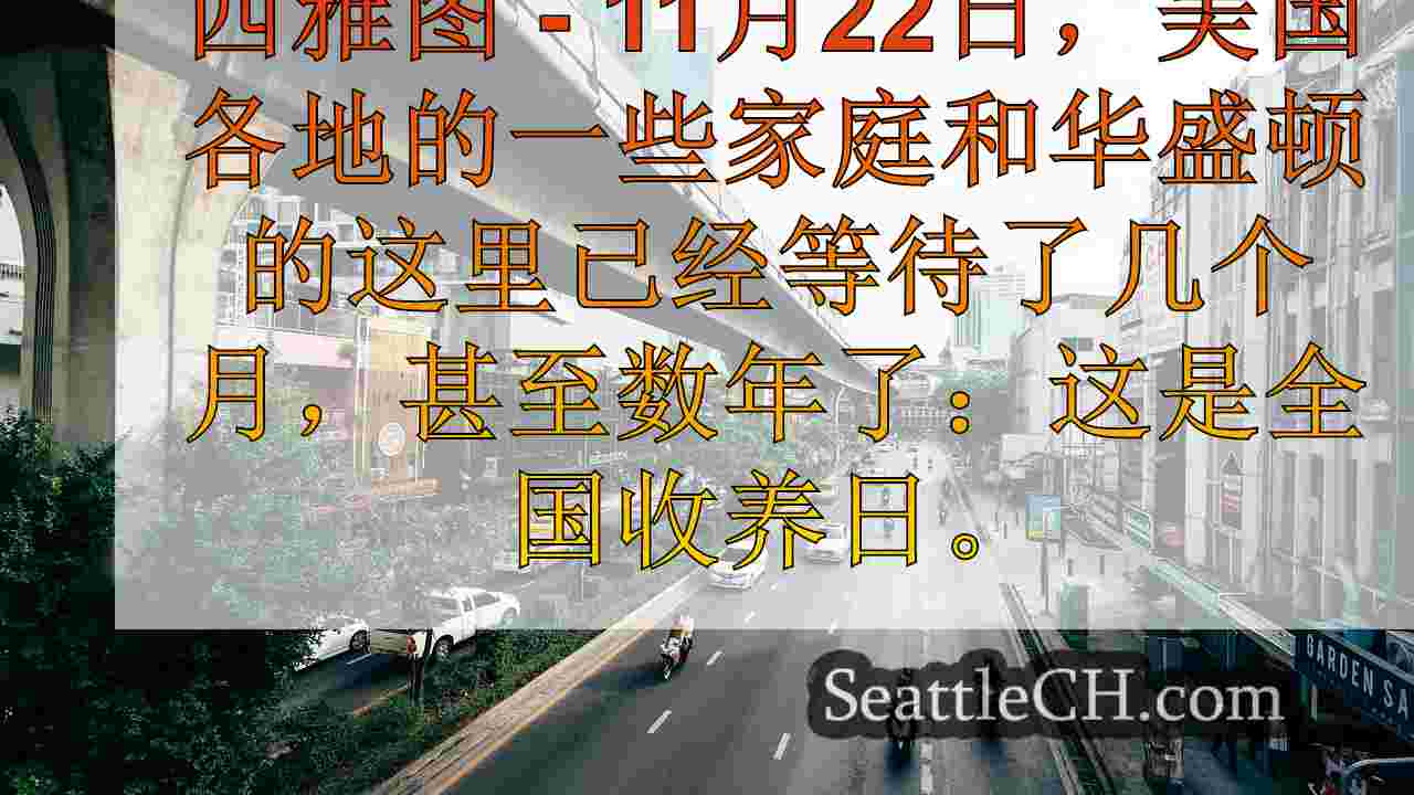 西雅图新闻 SeattleCH