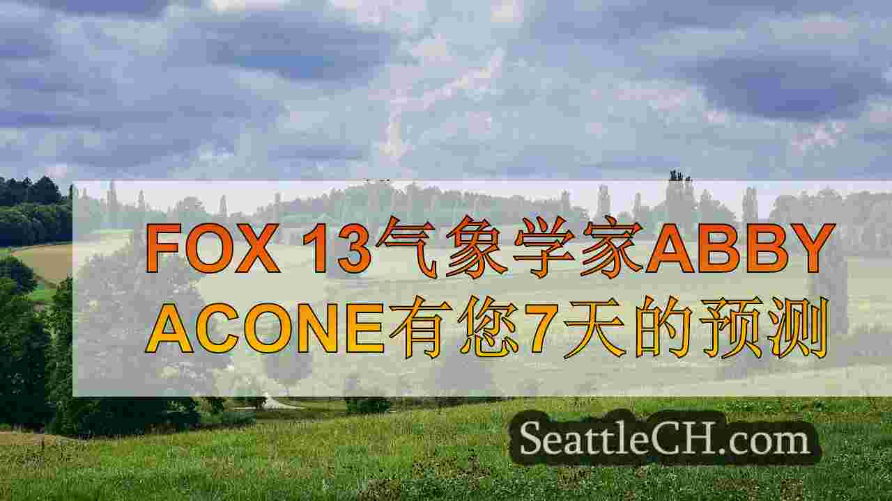 西雅图新闻 SeattleCH