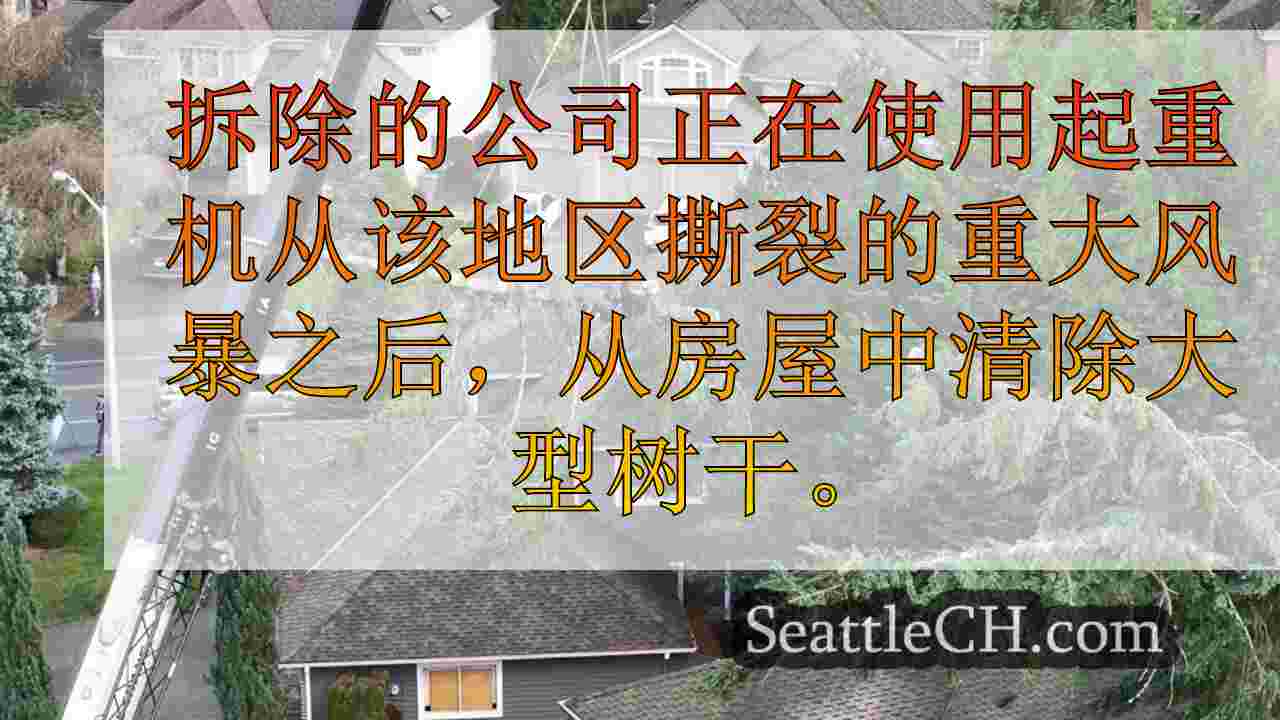 随着东金县的停电，用来从房屋中拆除大树的起重机