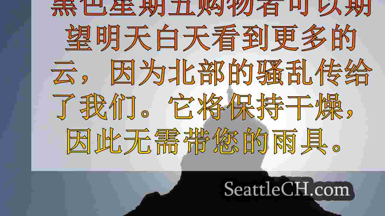 西雅图新闻 SeattleCH