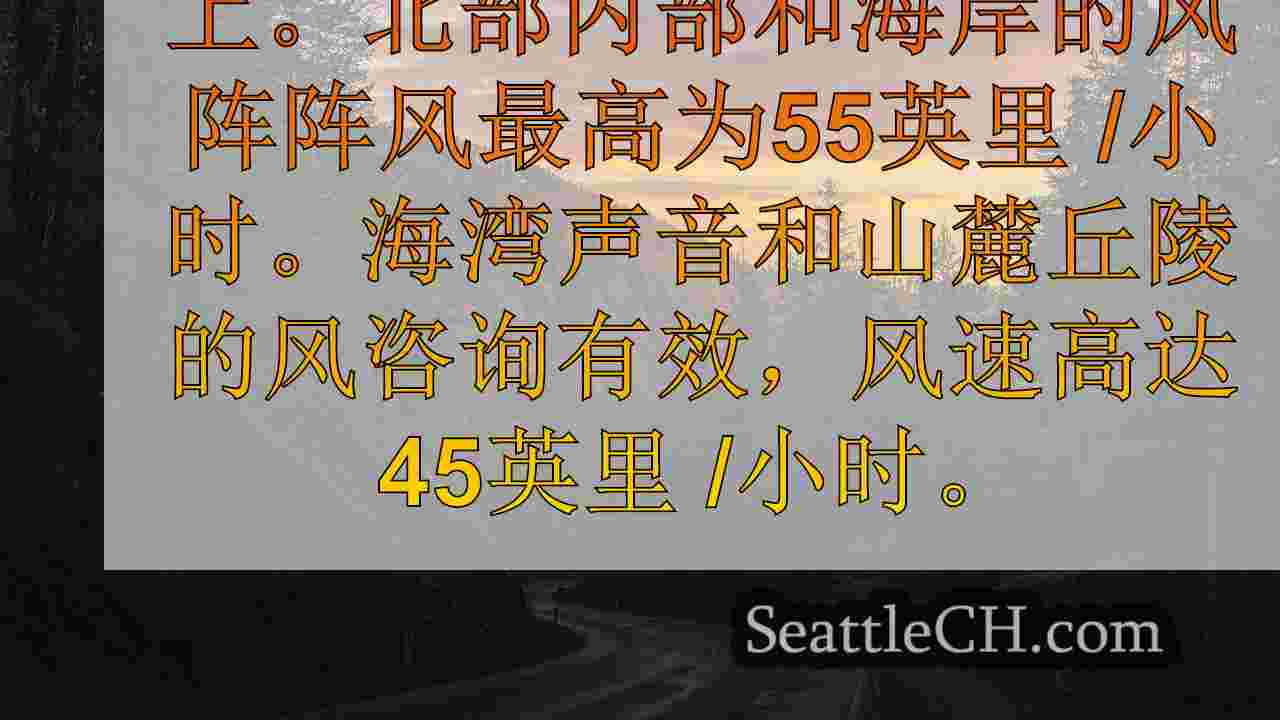 西雅图新闻 SeattleCH