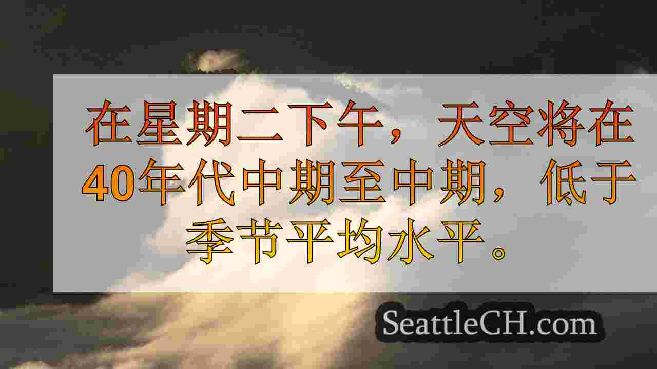 西雅图新闻 SeattleCH