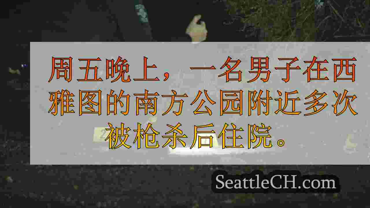 男子在西雅图的南方公园多次被枪杀后住院