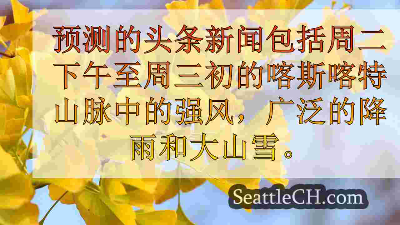 西雅图新闻 SeattleCH