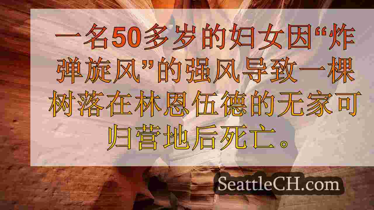 西雅图新闻 SeattleCH