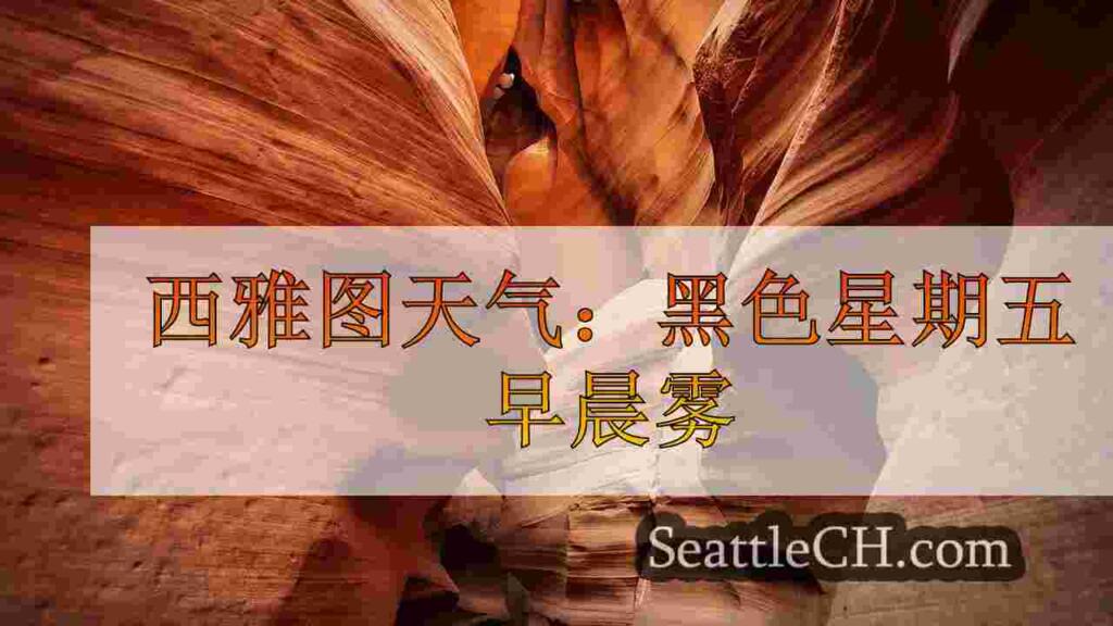 西雅图天气：一个有雾的感恩节之夜