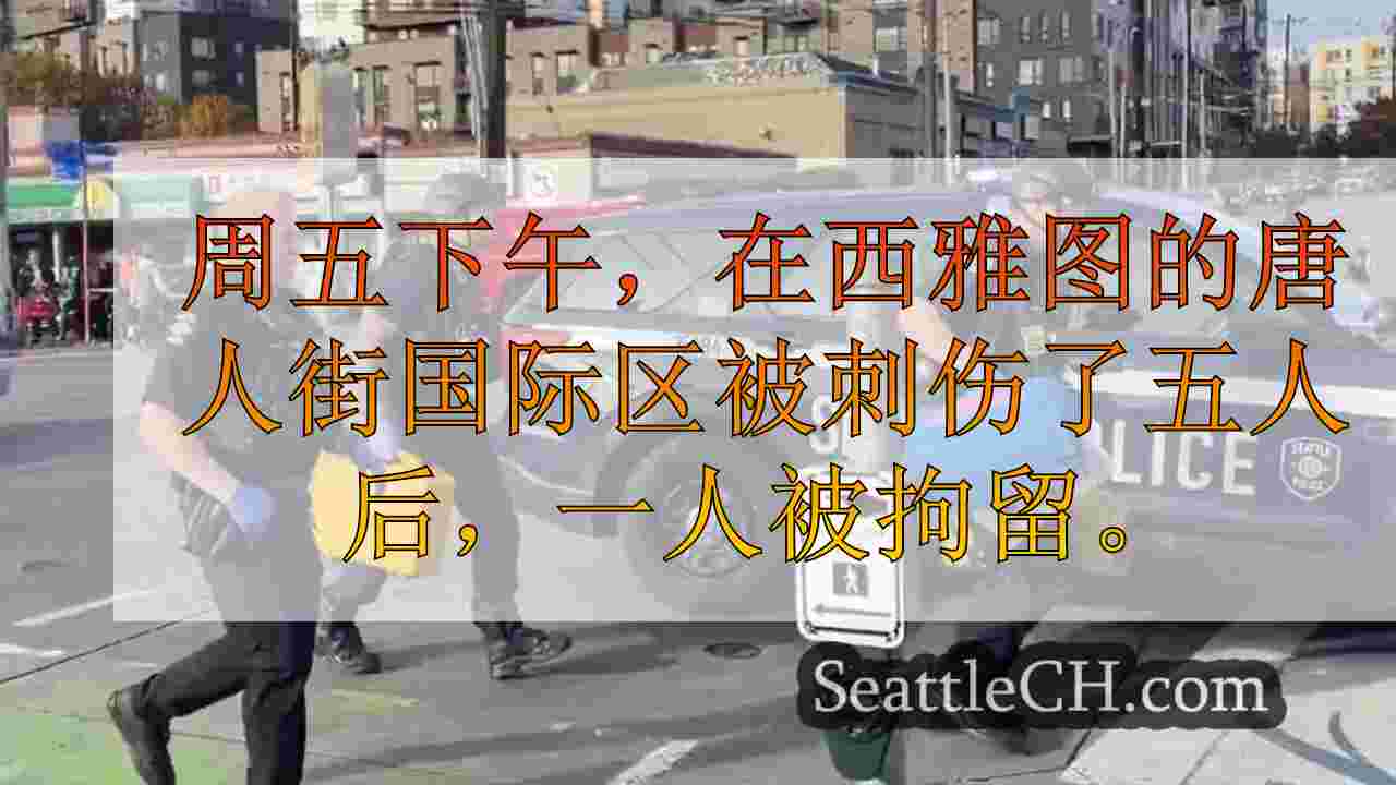 周五下午5点在西雅图的CID刺伤后，被拘留的人