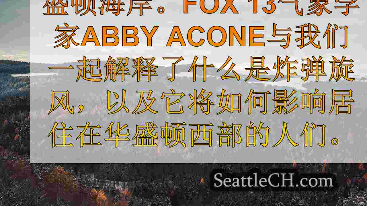 西雅图新闻 SeattleCH
