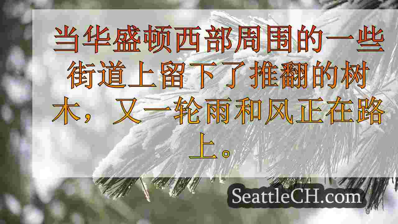 西雅图新闻 SeattleCH