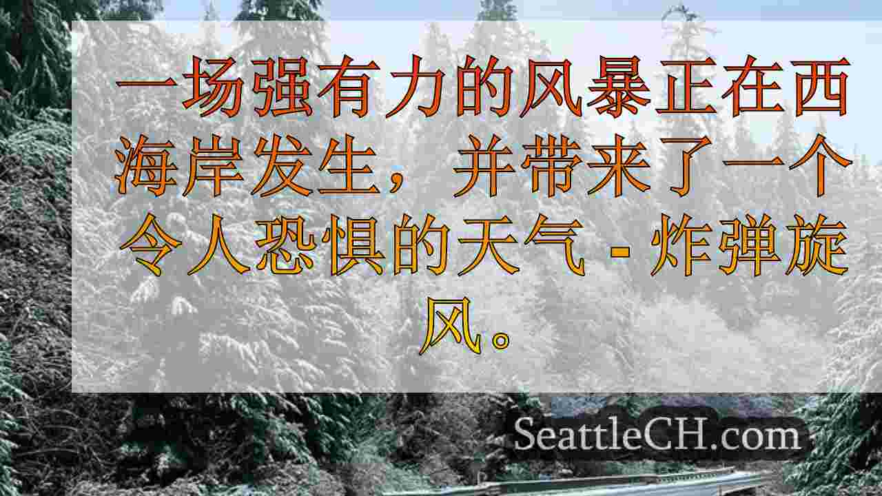 西雅图新闻 SeattleCH