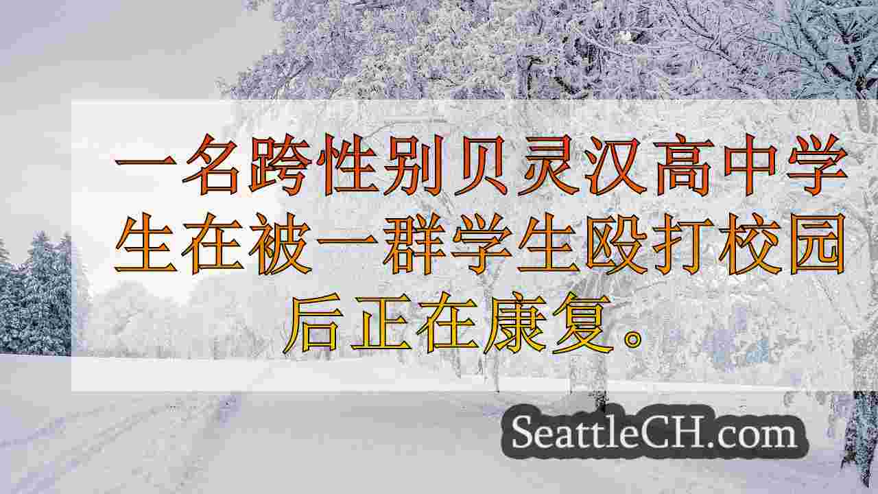 西雅图新闻 SeattleCH