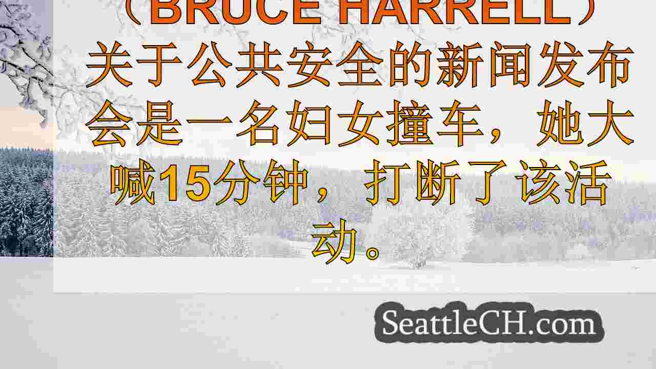 西雅图新闻 SeattleCH